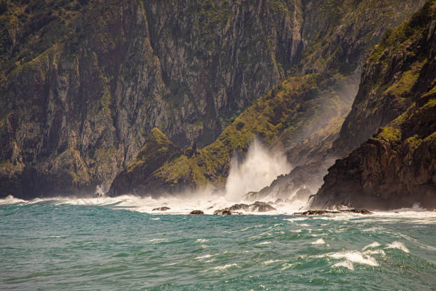 picture taken on Madeira island