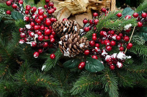 Christmas wreath of spruce branches, fir, cones, red berries close-up. New year decoration.