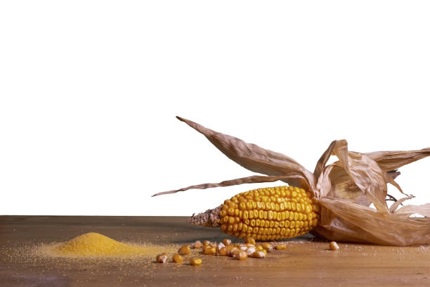 a cob and cornmeal on a wooden table and a transparent background