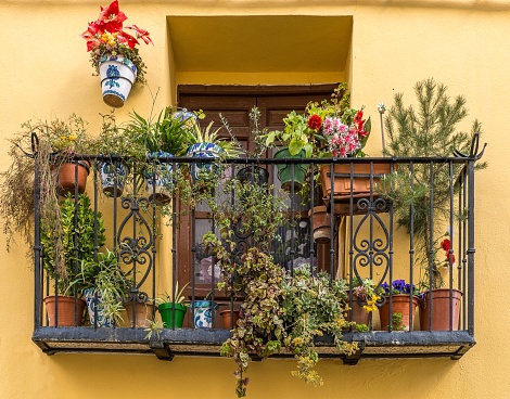 A stunning view of a balcony with pots full of beautiful flowers and plants from a yellow house