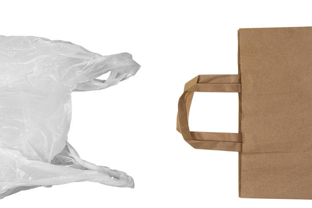 istock plastic bag and recycled paper bag 1438846489