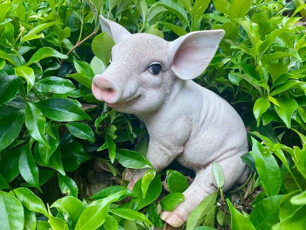 Horizontal close up of ceramic ornamental piglet sitting amongst green leaf in country garden