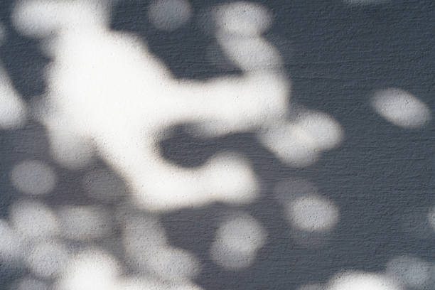 istock Shadow overlay effect for photo. Shadows from tree leaves and tropical branches on a white wall in sunlight. 1438855810