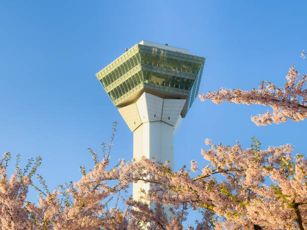 istock Cherry blossoms in full bloom and Goryokaku Tower 1438858038