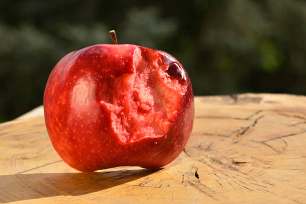 istock Close up of apple type with red, white, yellow and pink pulp 1438859918