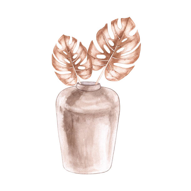 ilustrações de stock, clip art, desenhos animados e ícones de watercolor vase with dry leaves of monstera on a white background - fake rattan