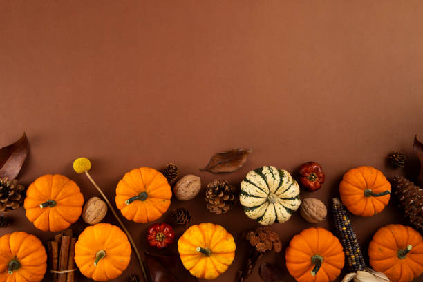 istock Autumn Gourds Holiday Background 1438860601