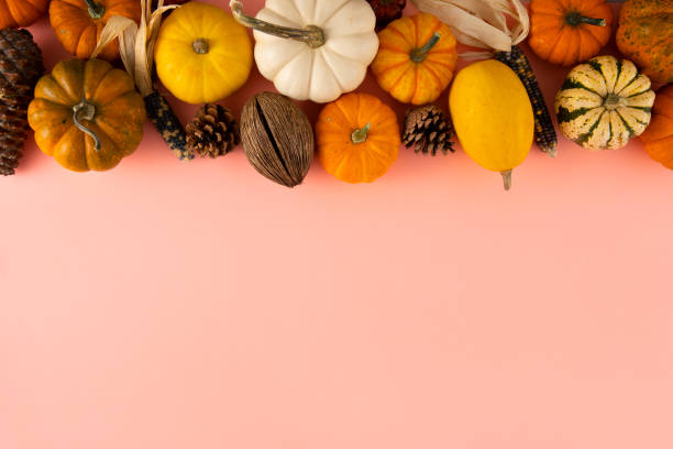 istock Autumn Gourds Holiday Background 1438860705