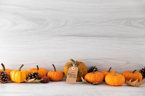 Autumnal colorful gourds and fallen leaves with pine cones on white wooden background