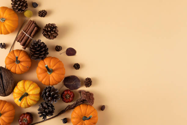 istock Thanksgiving Day or Autumn Gourds Holiday Background 1438862135