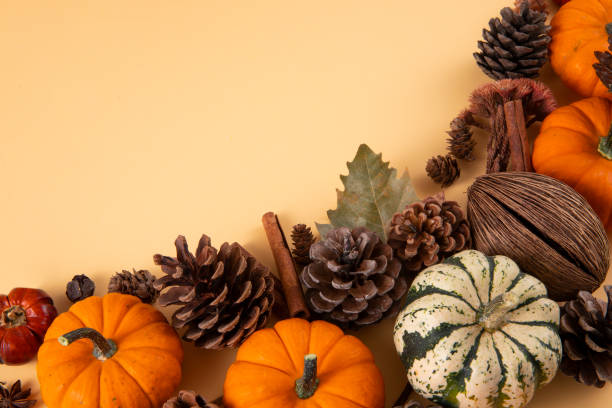 istock Autumn Gourds Background 1438862353