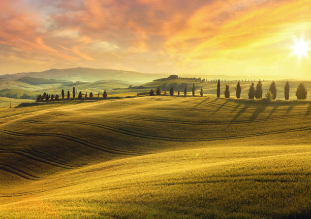 Val d'Orcia scenery