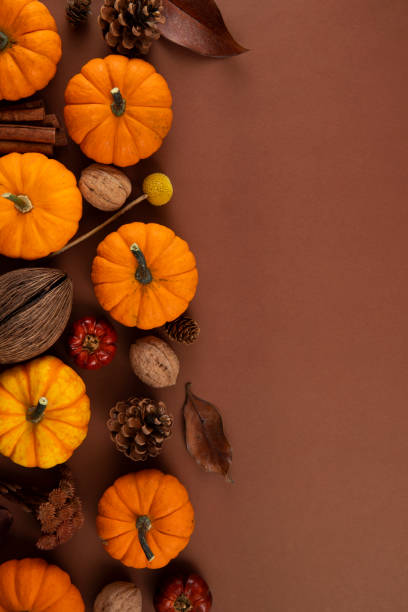 istock Autumn Gourds Holiday Background 1438862723
