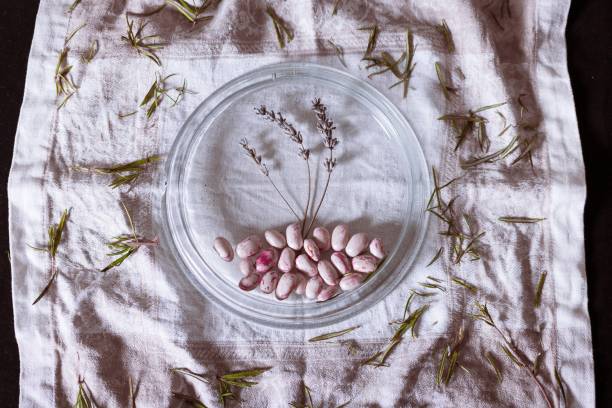 High angle shot of white beans with an ornamental herb