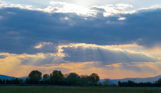 istock Field covered in greenery under a cloudy sky during a beautiful sunset in the evening 1438871150