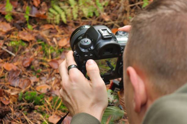 istock High-angle view of a photographer taking shots with his camera 1438871323