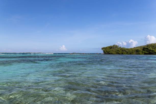 istock Beautiful tranquil sea with trees in the background under a blue sky during the daytime 1438871429