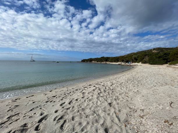 istock A beach in southern Corsica without a character under a blue sky with clouds 1438872035