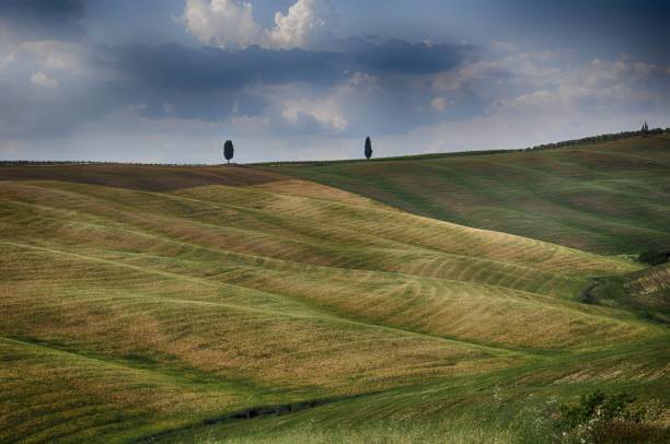 istock Beautiful grass covered fields under the clouds in the sky 1438872669