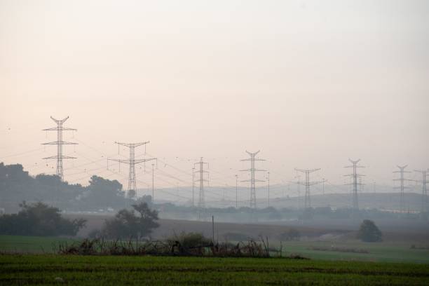 istock Field covered in greenery with Transmission towers on the blurry background 1438873054