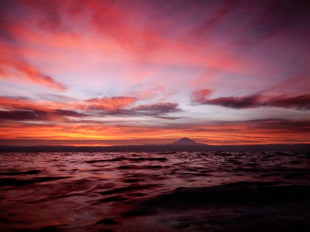 istock Sunrise on the Puget Sound 1438873246