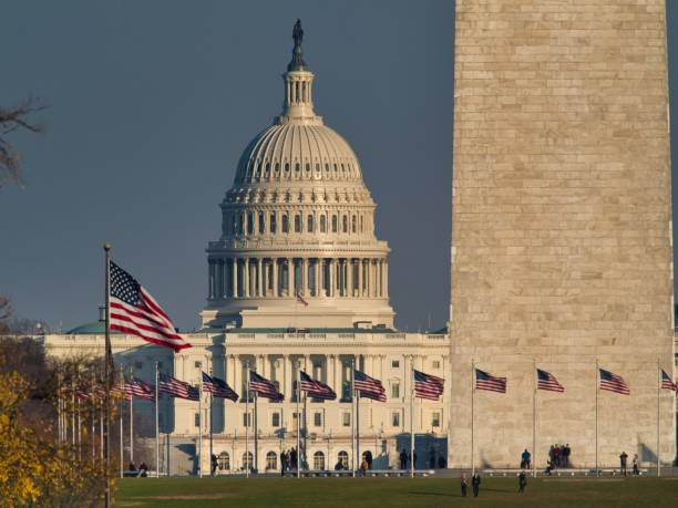istock United States Capitol surrounded by flags and greenery under sunlight 1438873535