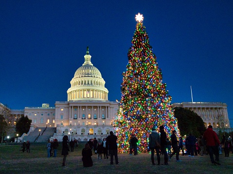 United States Capitol with the Christmas tree in front of it surrounded by people during the night