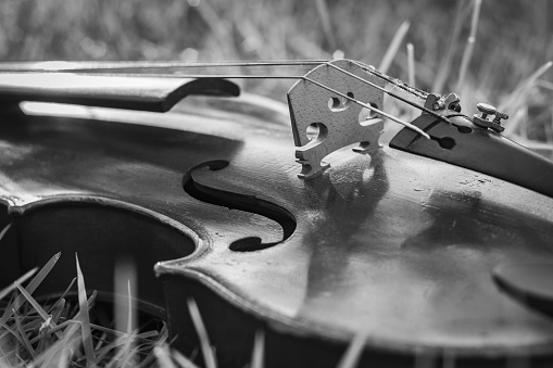 A greyscale closeup of a violin laying on a dry grass with a blurry background