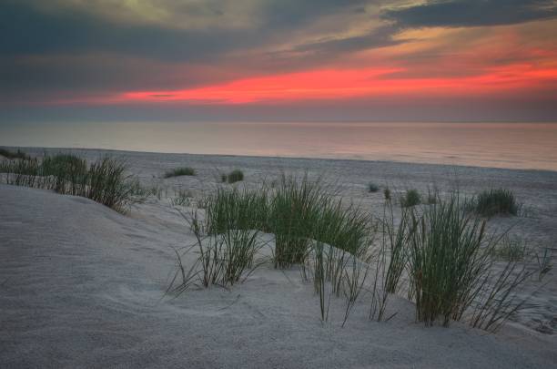 istock Sunset by the sea. 1438874842