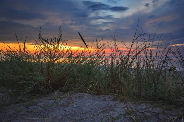 istock Sunset by the sea. 1438874881