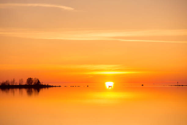 a fisherman driving a boat at sunset on the coast of Finland