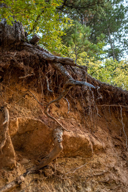 istock Erosion and nature 1438880866