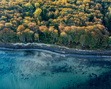 Drones eye view looking at the coastline on the island of Moen in Denmark where the  primeval forest mets the sea.  Horizontal format with lots of copy space.