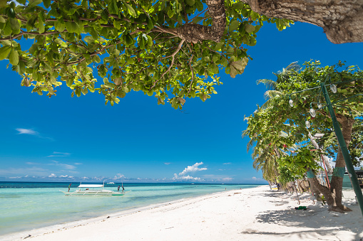 Obtener sombra debajo de un árbol durante un día muy caluroso y soleado en Dumaluan Beach, Panglao, Bohol, Filipinas. photo