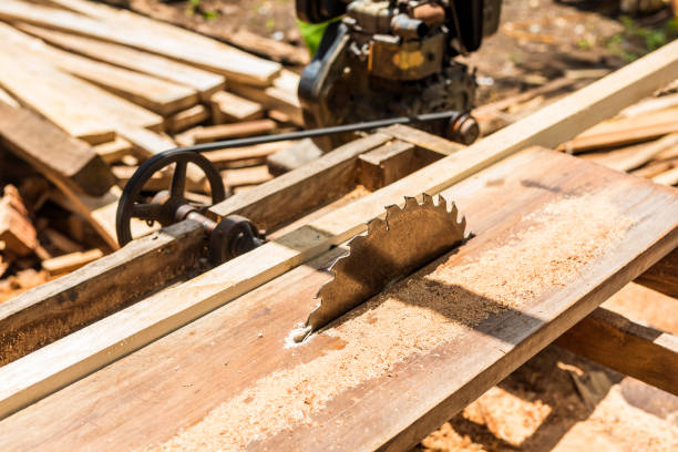 istock A simple makeshift table saw with a circular saw blade, used to cut timber into planks. At a local lumber supply store. 1438884765