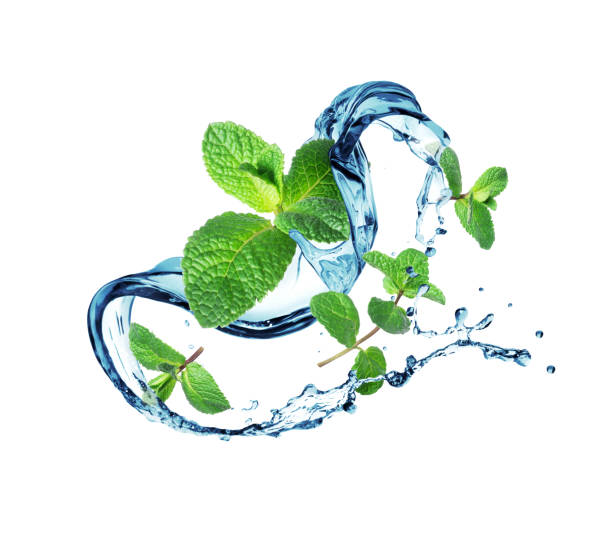 istock Mint with splashes of water 1438885098