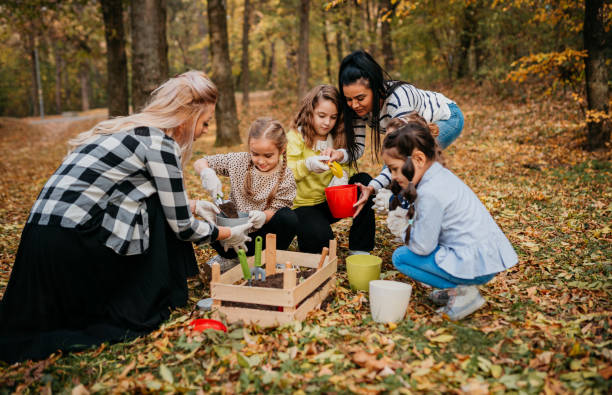 istock Our teachers as gardeners 1438885234