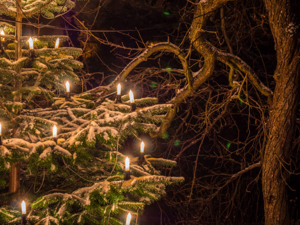 Candles on a fir tree at Christmas outside