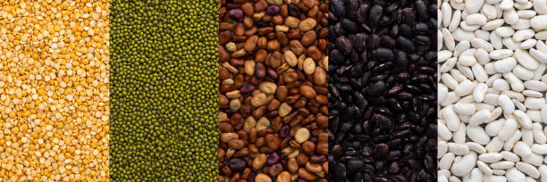 istock Different types of legumes 1438888771