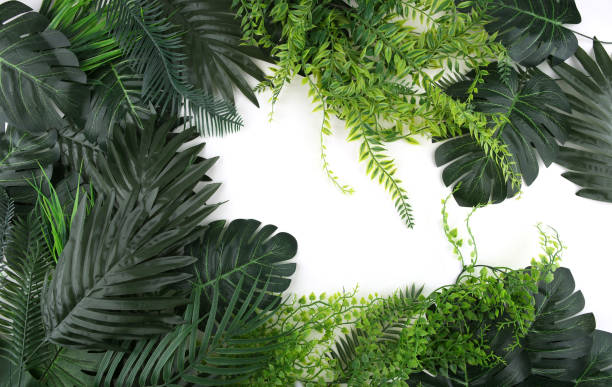 istock Frame of artificial tropical leaves isolated on white background. 1438888924