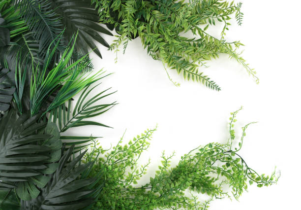 istock Frame of artificial tropical leaves isolated on white background. 1438888939