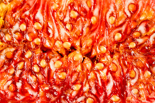 Raw ripe fig pulp texture - fruit background with copy space. Macro photo, selective focus