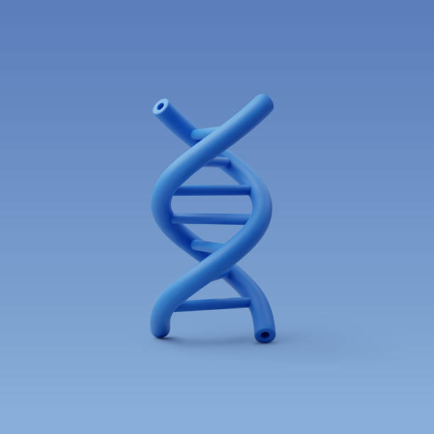 3d 벡터 dna, 분자 화학, 물리학 과학 개념. - dna helix molecular structure chromosome stock illustrations