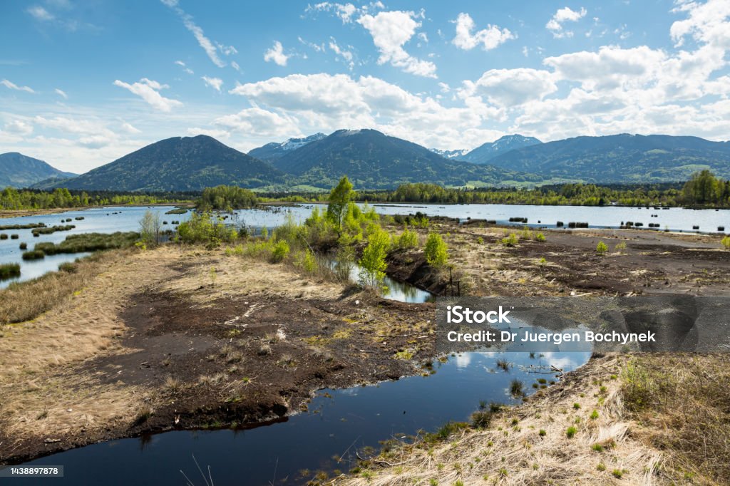 Nicklheimer Filze, a Bavarian moor near Raubling, in front of the Alps, Bavaria, Germany Looking over Nicklheimer Filze, a Bavarian moor near Raubling, in front of the Alps, Bavaria, Germany Backgrounds Stock Photo