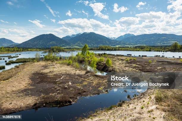 Nicklheimer Filze A Bavarian Moor Near Raubling In Front Of The Alps Bavaria Germany Stock Photo - Download Image Now
