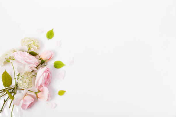 istock Festive flower composition on the white background. Overhead view 1438899100