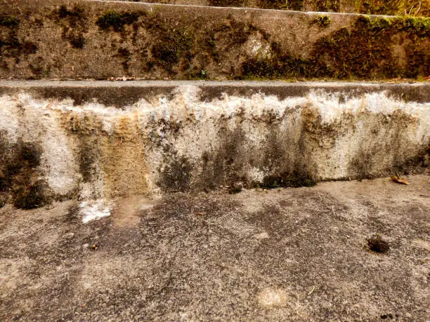White substance oozing from concrete steps. Known as concrete efflorescence and caused by salts leeching through damp concrete. Can be sticky at first and turn fluffy when it dries out.