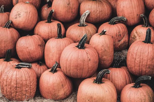 istock Closeup of fresh ripe pumpkins 1438903886