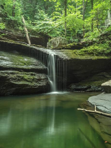 istock Waterfall in the Cloudland Canyon State Park surrounded by greenery and stones 1438904181