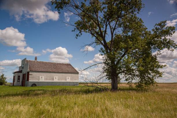 istock Old garage gas station in a field with a tree 1438904663